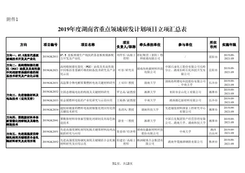 2019年度湖南省重点领域研发计划项目立项汇总表