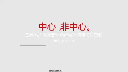 一个超大型综合体项目推广思路提报PPT课件