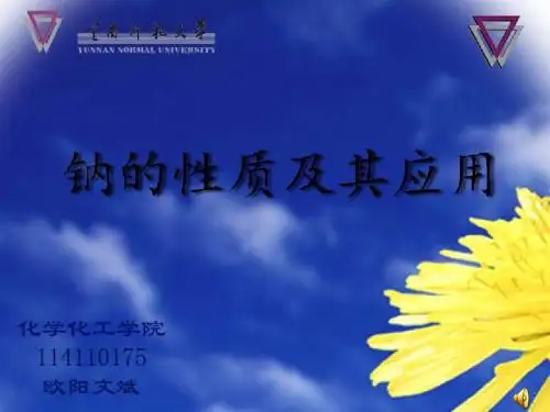 钠的性质及其应用