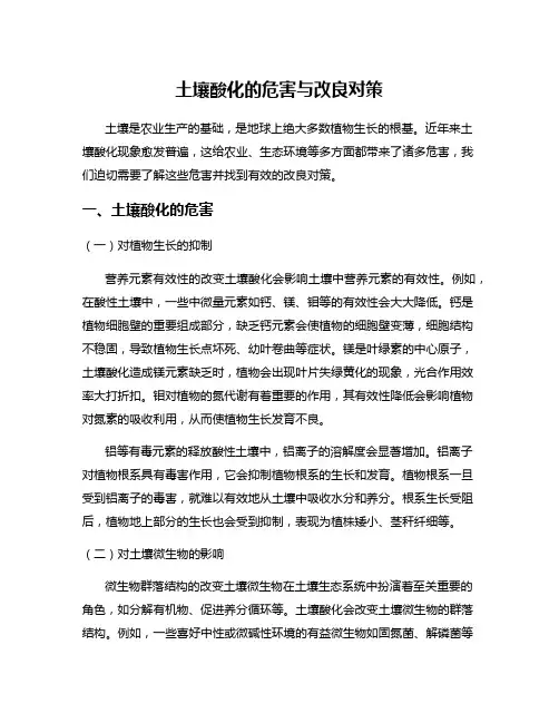 土壤酸化的危害与改良对策