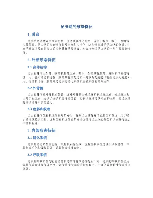 昆虫纲的形态特征