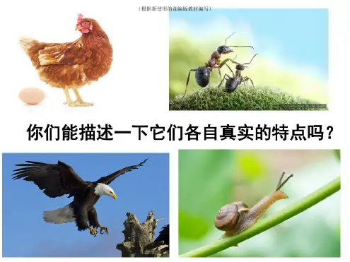 统编版三年级语文下册八单元习作课件