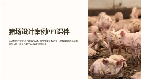 《猪场设计案例》课件