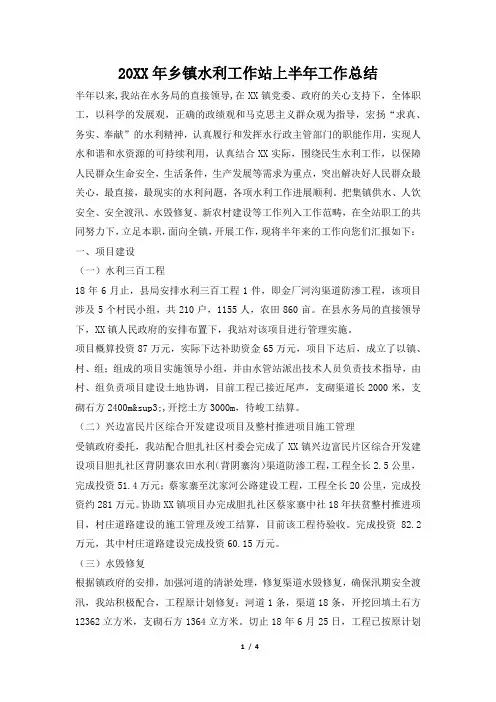 2019年乡镇水利工作站上半年工作总结