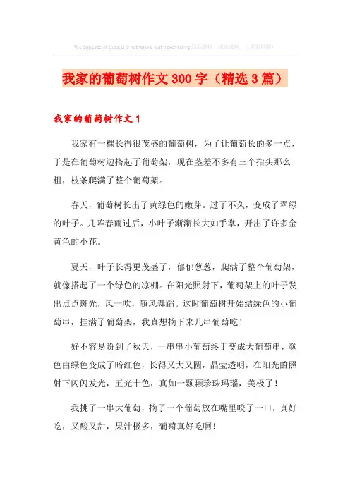 我家的葡萄树作文300字(精选3篇)
