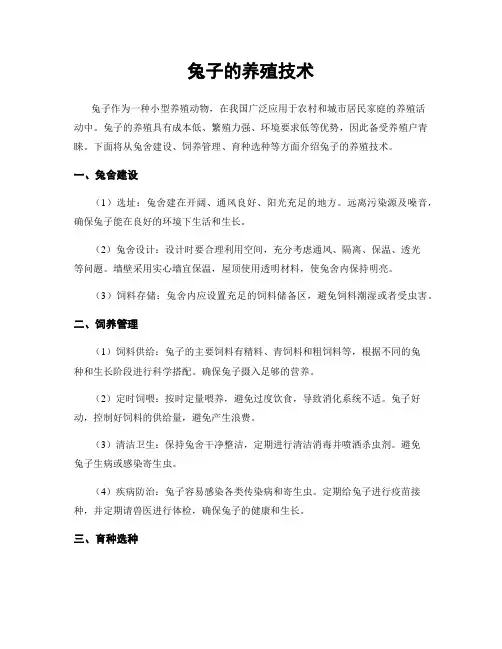 兔子的养殖技术