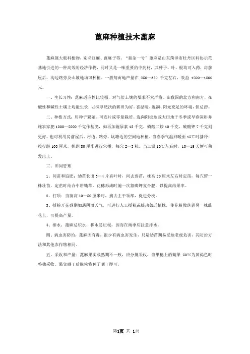 蓖麻种植技木蓖麻