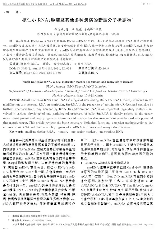 核仁小RNA:肿瘤及其他多种疾病的新型分子标志物