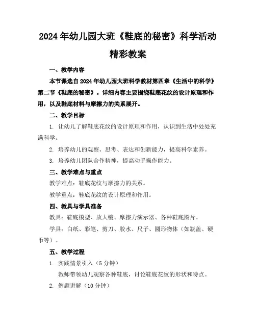2024年幼儿园大班《鞋底的秘密》科学活动精彩教案