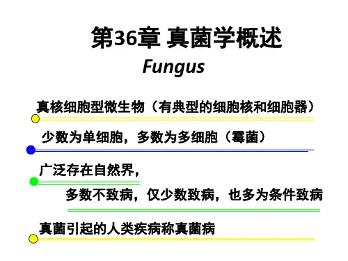 第36章 真菌概述和致病性真菌