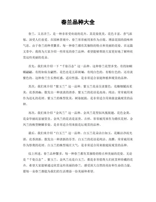 春兰品种大全