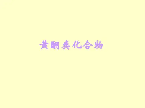 黄酮类化合物