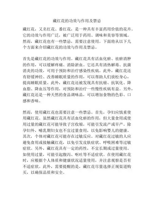 藏红花的功效与作用及禁忌