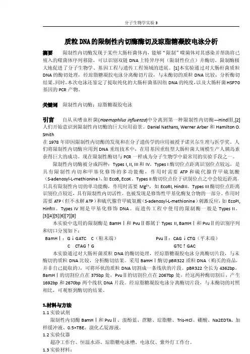 质粒DNA的限制性内切酶酶切及琼脂糖凝胶电泳分析