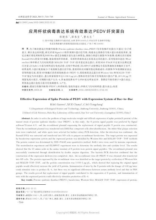 应用杆状病毒表达系统有效表达PEDV_纤突蛋白