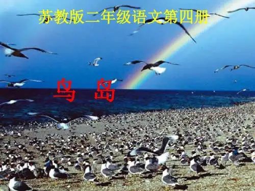 二年级语文下册(苏教版)鸟岛公开课课件