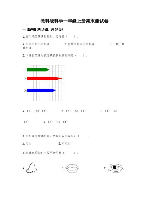 教科版科学一年级上册期末测试卷及解析答案