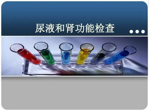 [read]尿液和肾功能检查1