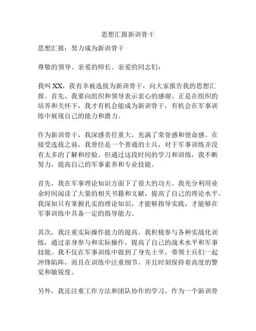 思想汇报新训骨干