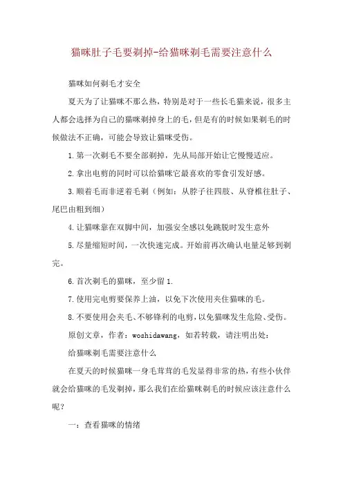 猫咪肚子毛要剃掉-给猫咪剃毛需要注意什么