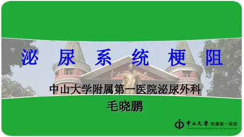 外科学课件：泌尿系统梗阻