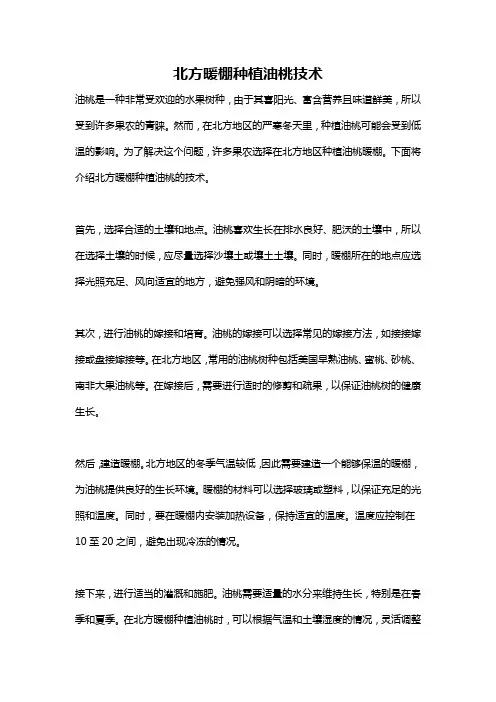 北方暖棚种植油桃技术