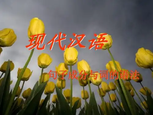 汉语语法