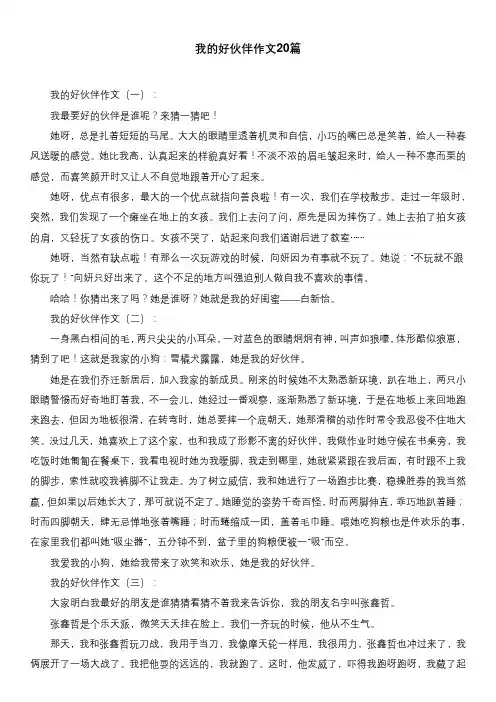 我的好伙伴作文20篇