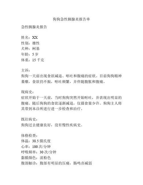 狗狗急性胰腺炎报告单