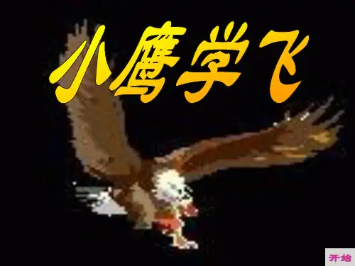小鹰学飞课件