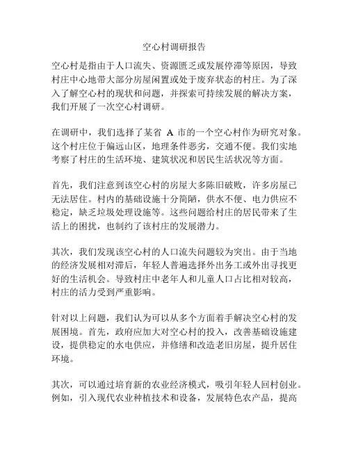 空心村调研报告