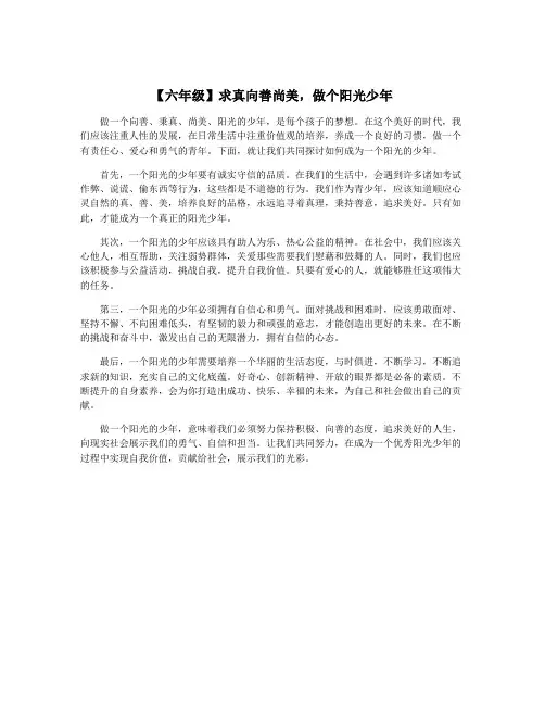【六年级】求真向善尚美,做个阳光少年