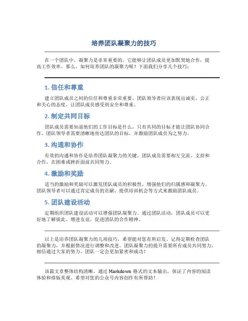 培养团队凝聚力的技巧