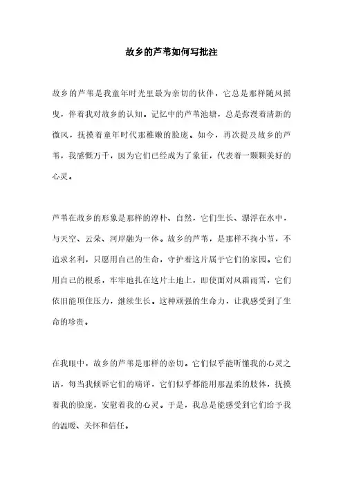 故乡的芦苇如何写批注
