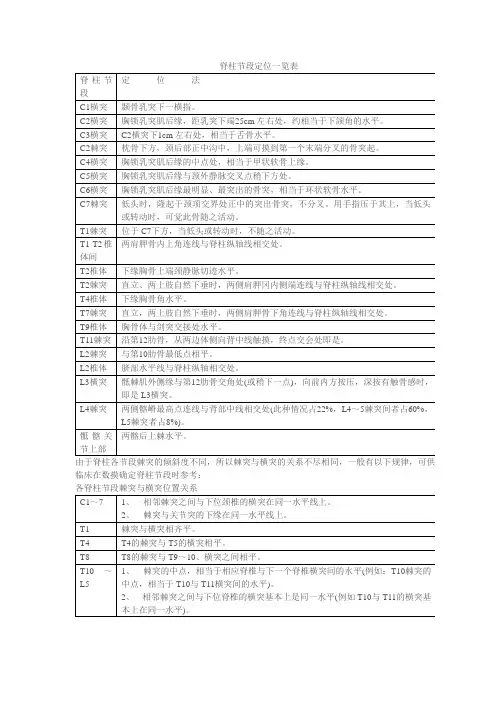 脊柱节段定位一览表 