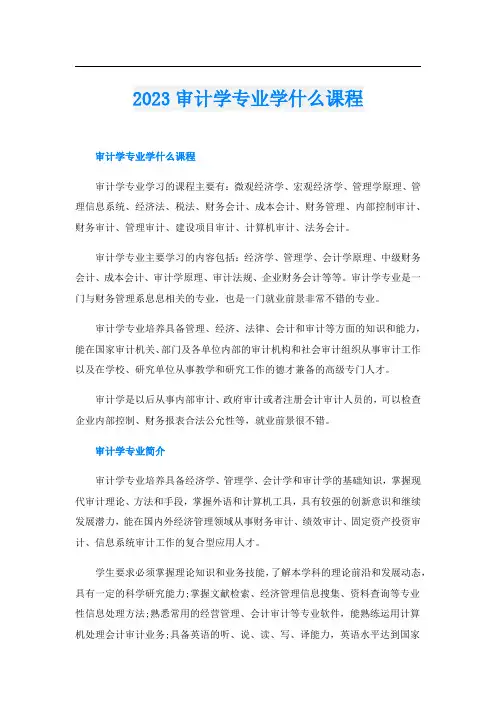 2023审计学专业学什么课程