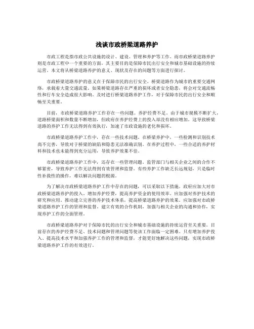 浅谈市政桥梁道路养护