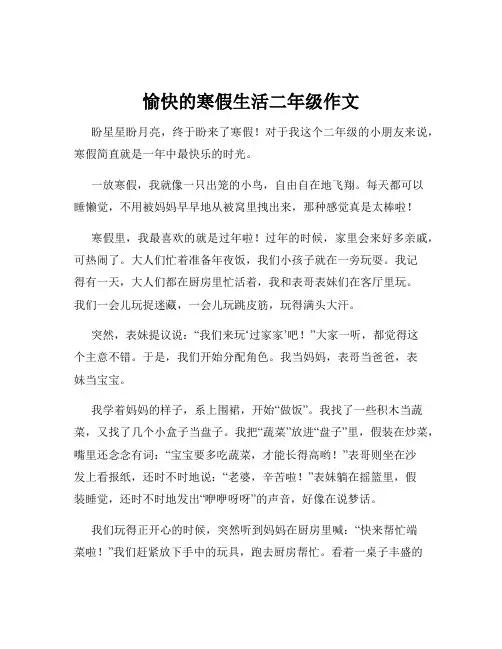 愉快的寒假生活二年级作文