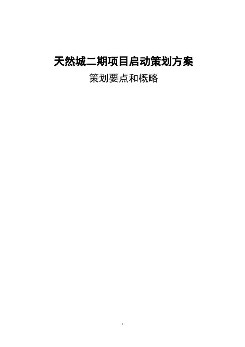 项目启动策划方案