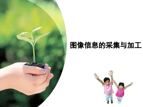 教科版高中信息技术必修第五章5.3图像的采集和加工5.32图像信息的采集与加工  课件 .
