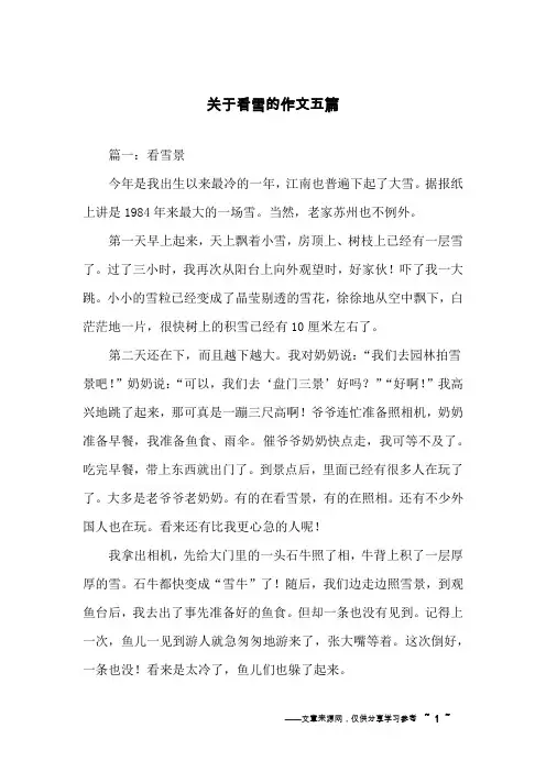 关于看雪的作文五篇