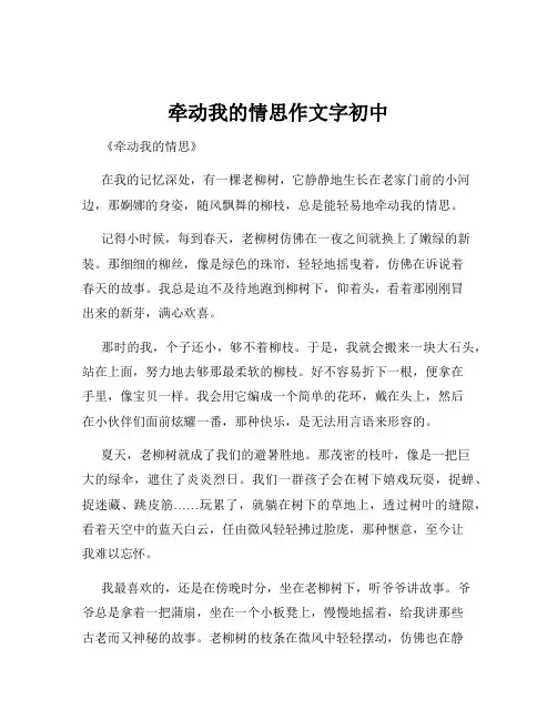 牵动我的情思作文字初中