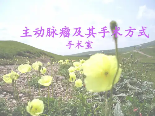 主动脉瘤手术
