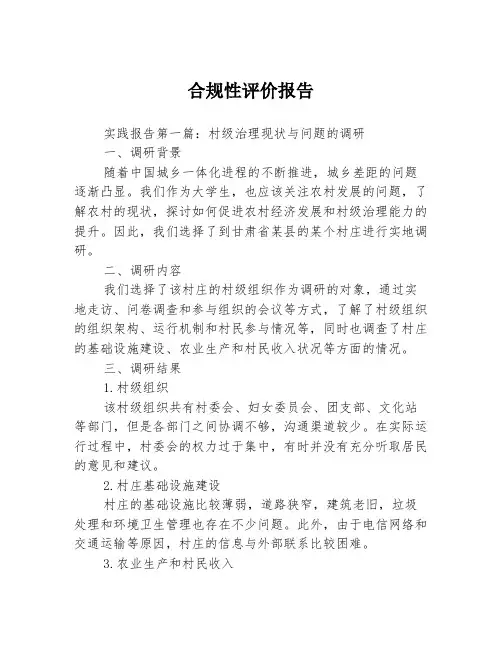 合规性评价报告