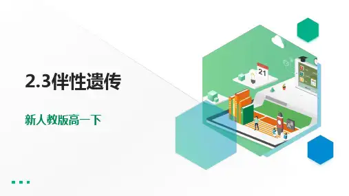 高中生物第二册 2 3伴性遗传