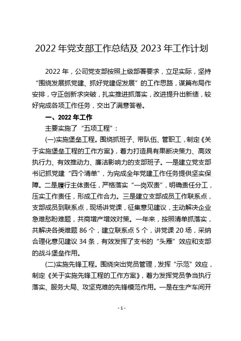 2022年党支部工作总结及2023年工作计划
