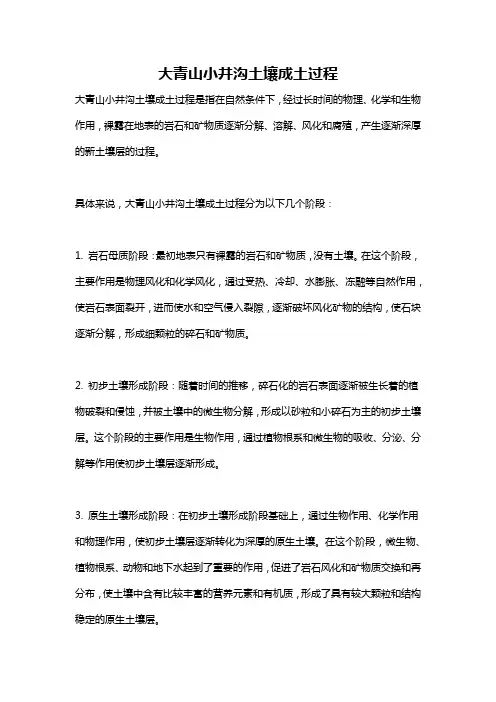 大青山小井沟土壤成土过程