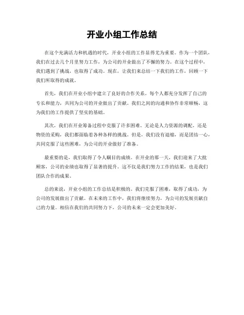 开业小组工作总结