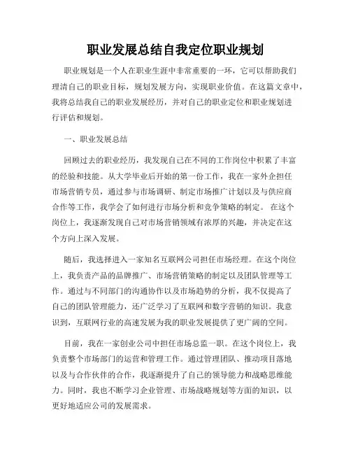 职业发展总结自我定位职业规划