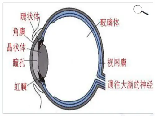 第五章 第一节 透镜